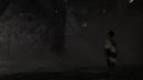View The The Last Guardian Album